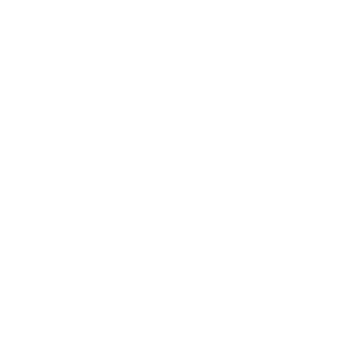 Social Icon