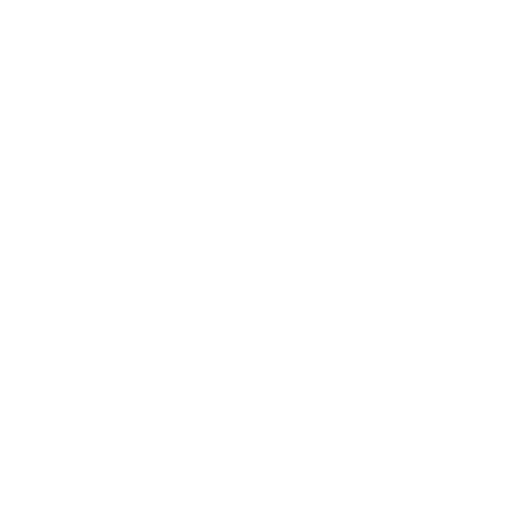 Social Icon